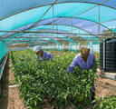 When a simple initiative makes a big environment impact